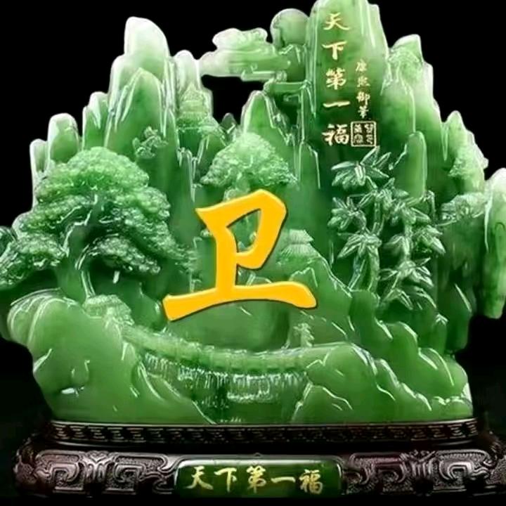 卫总