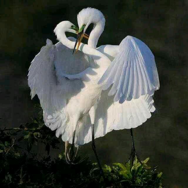 宝丰县闹店镇天义家具广场