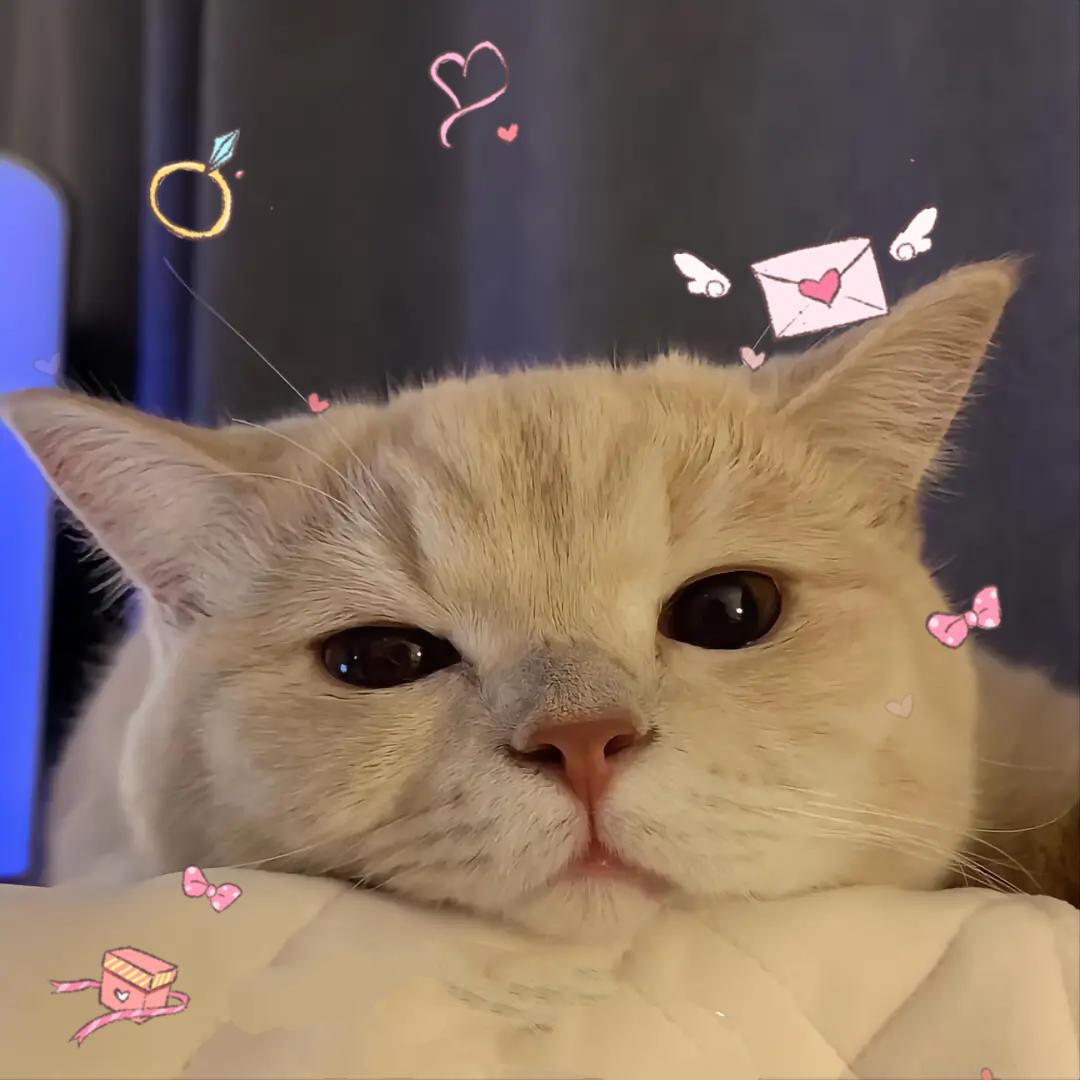 ༻鹤熙༧༂
