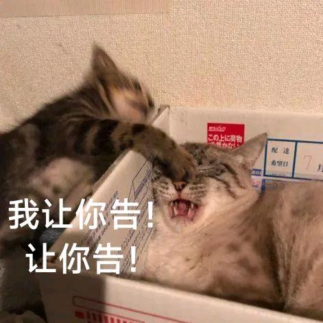 小溪