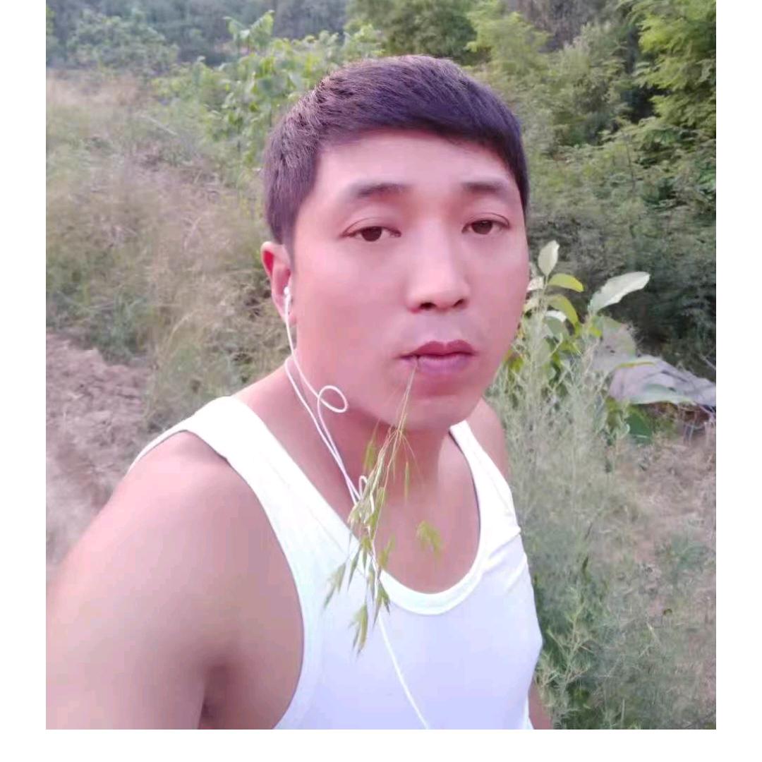 美蛙鱼