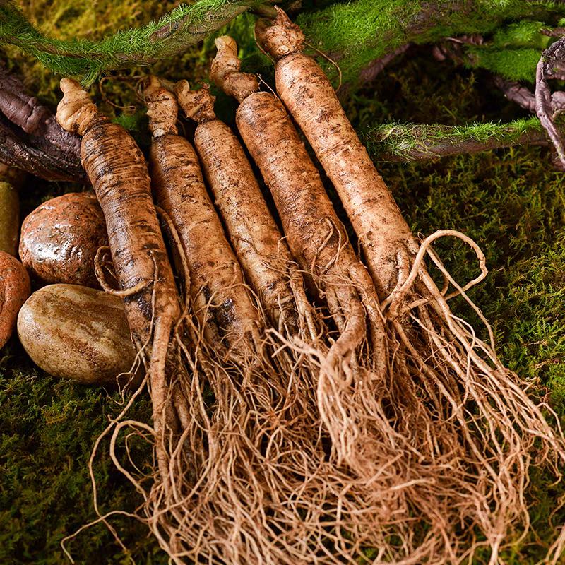 宏岩东北农产品