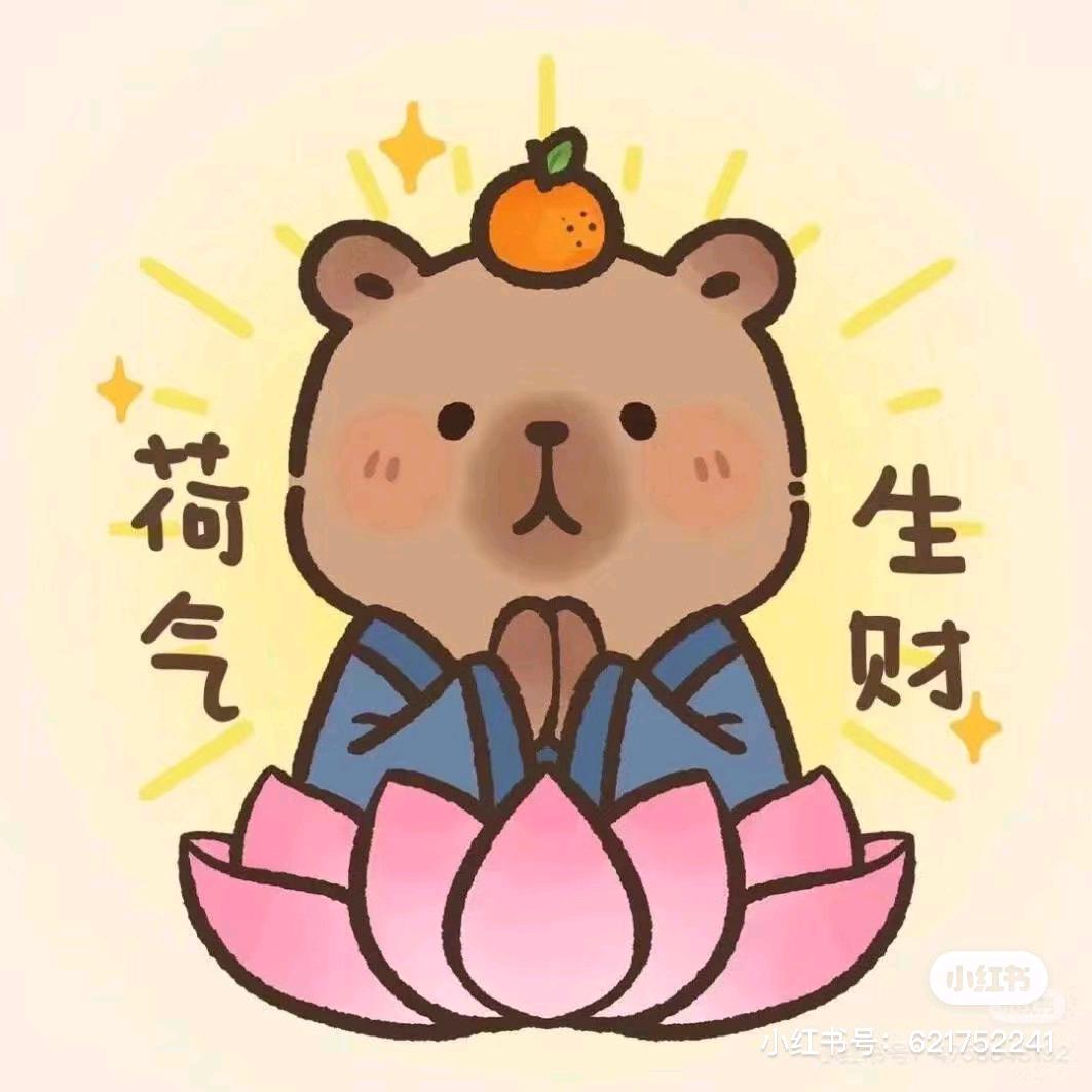 恰恰优选
