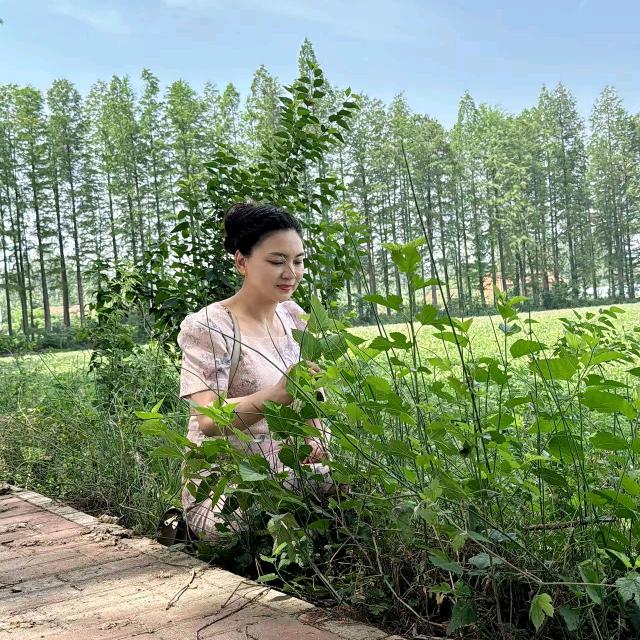 赵华