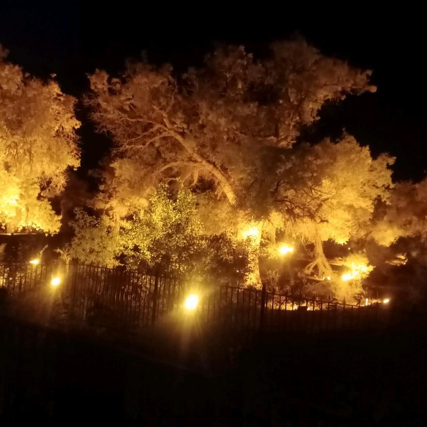 手机用户84951915039