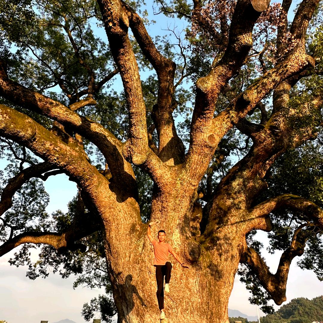 这是我的爸爸，他真的很棒。