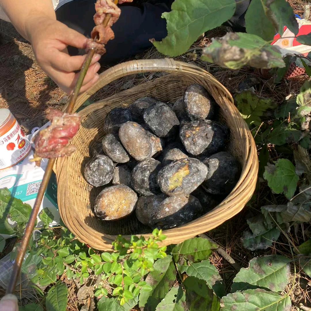 别惹我