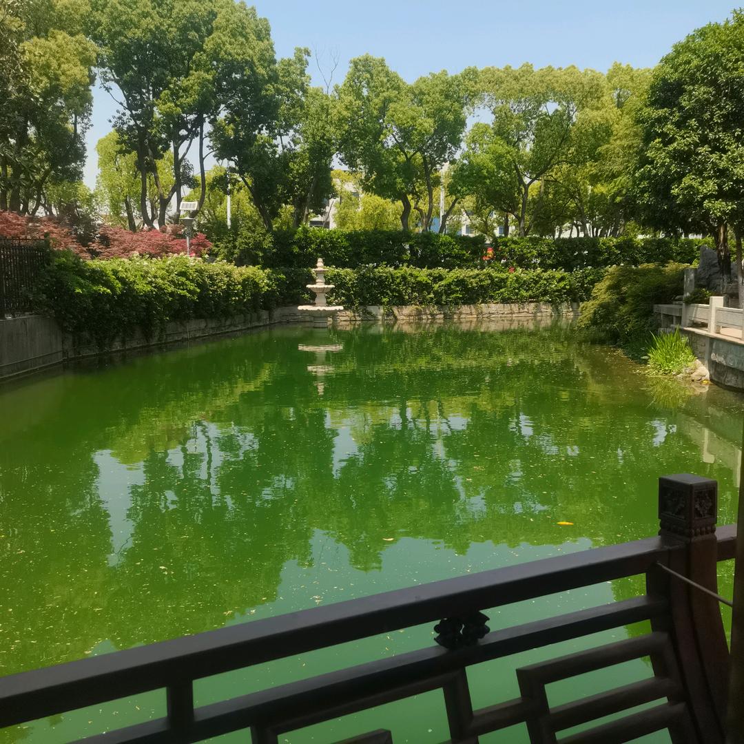 爱的永恒