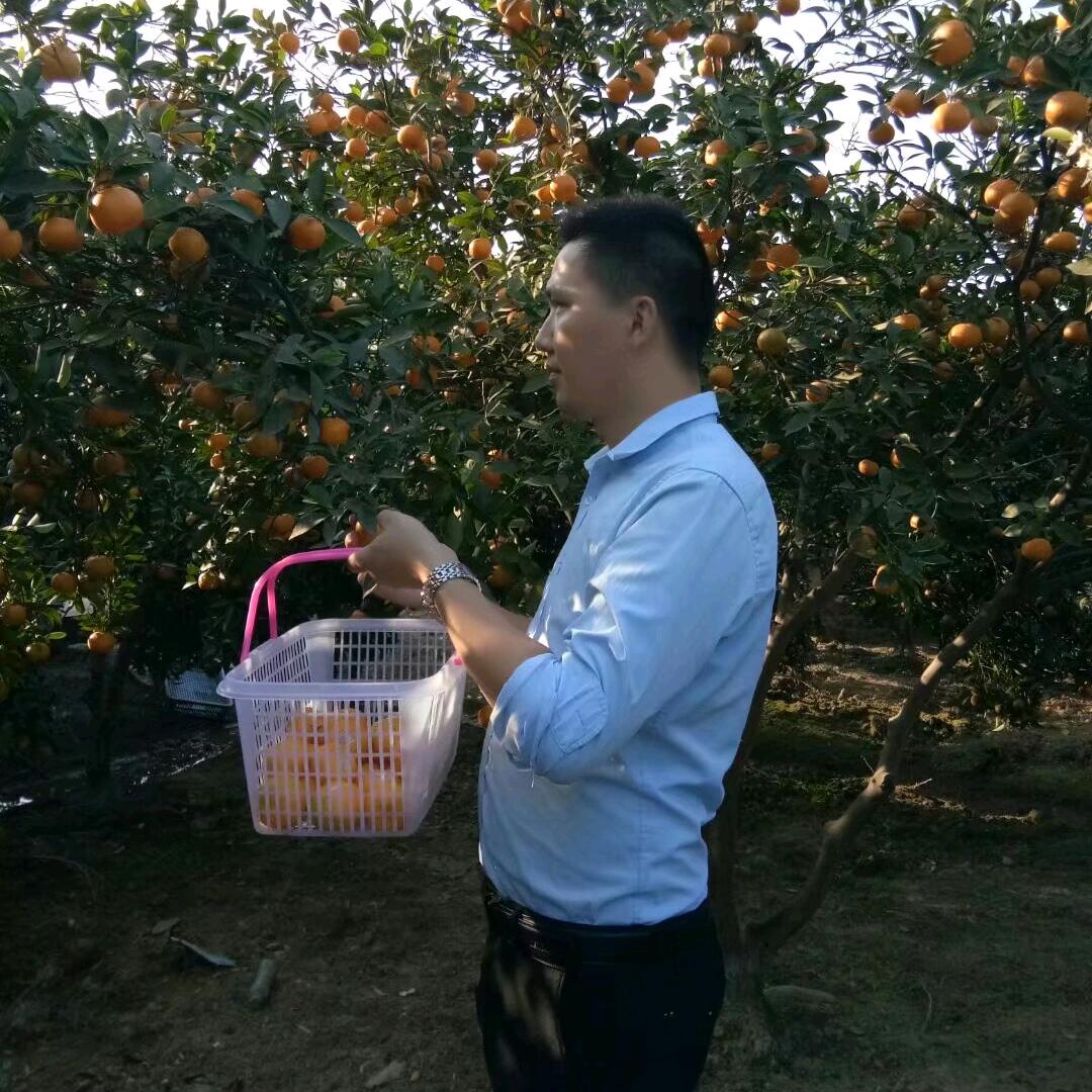 社会保险体系