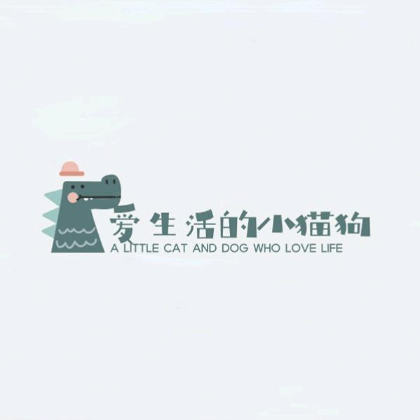 爱生活的小猫狗