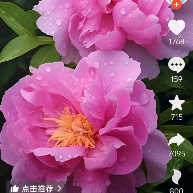 路然
