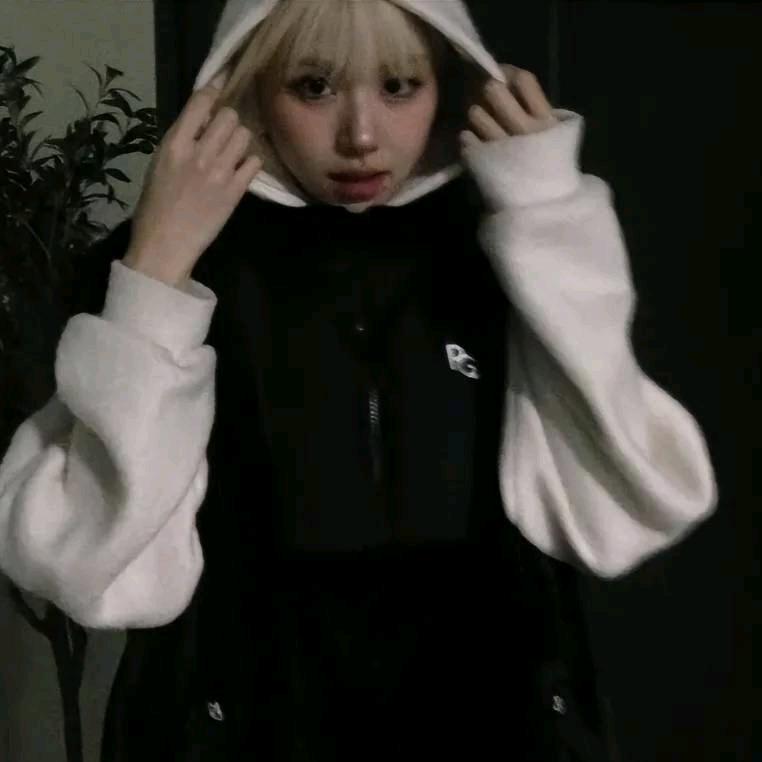 弗雷尔卓德板砖.