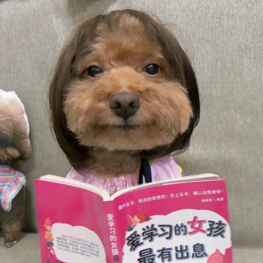 念来过倒别你叫