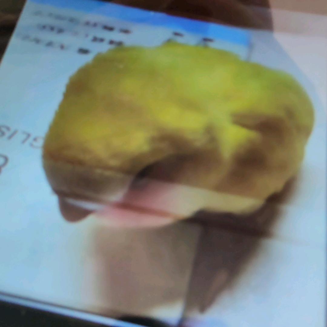 可爱的小豚豚和小鹦鹉《有牡丹，还有虎皮》