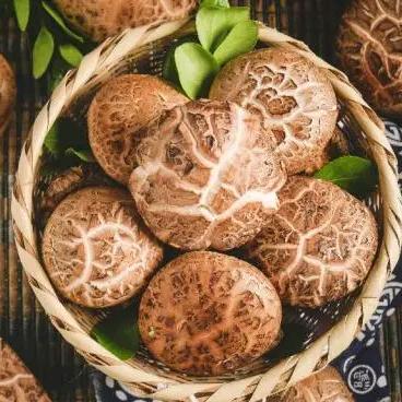 平泉市香菇产地代收代发