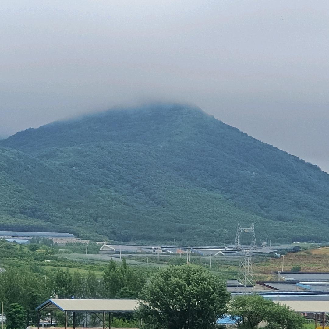 LHD