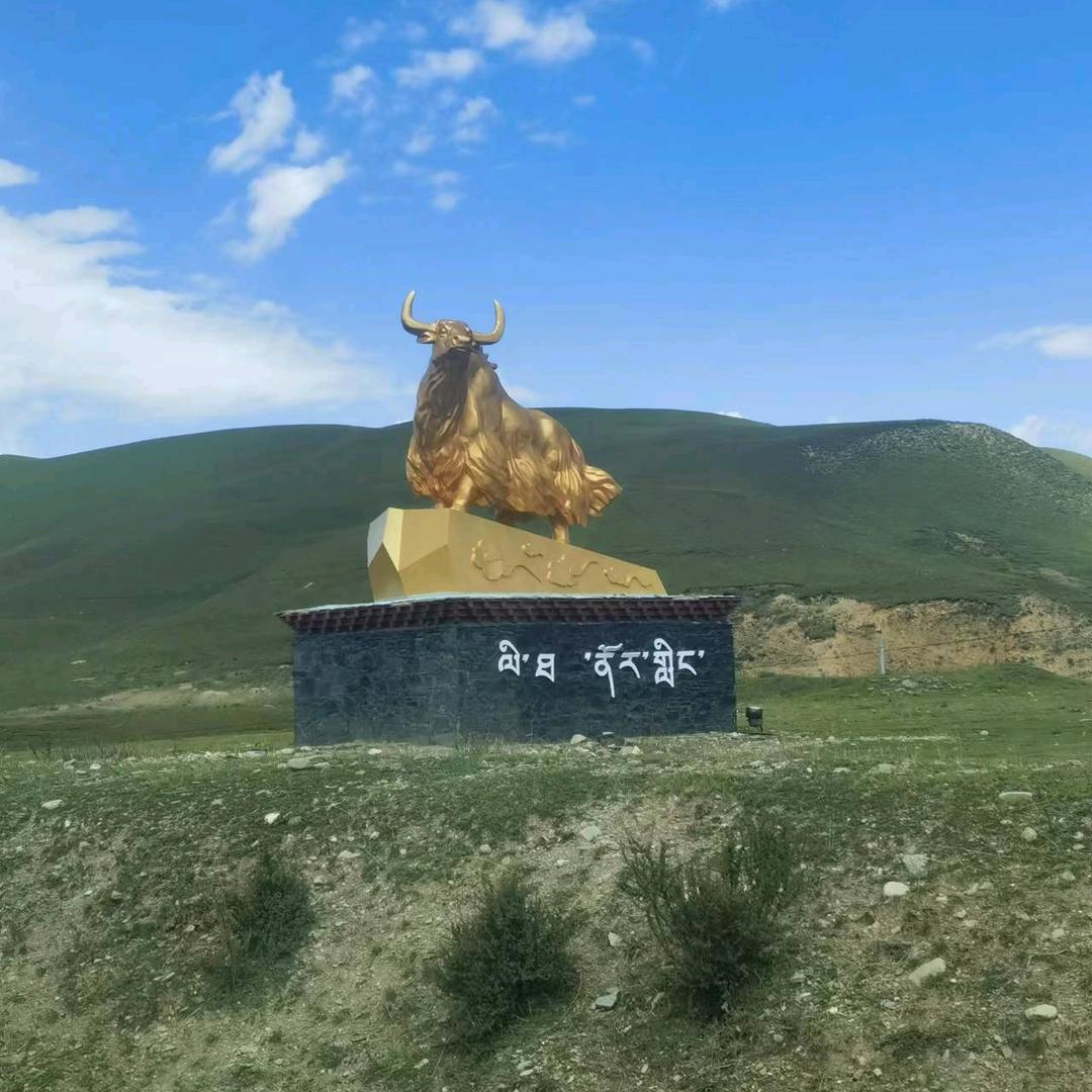 心宽路顺