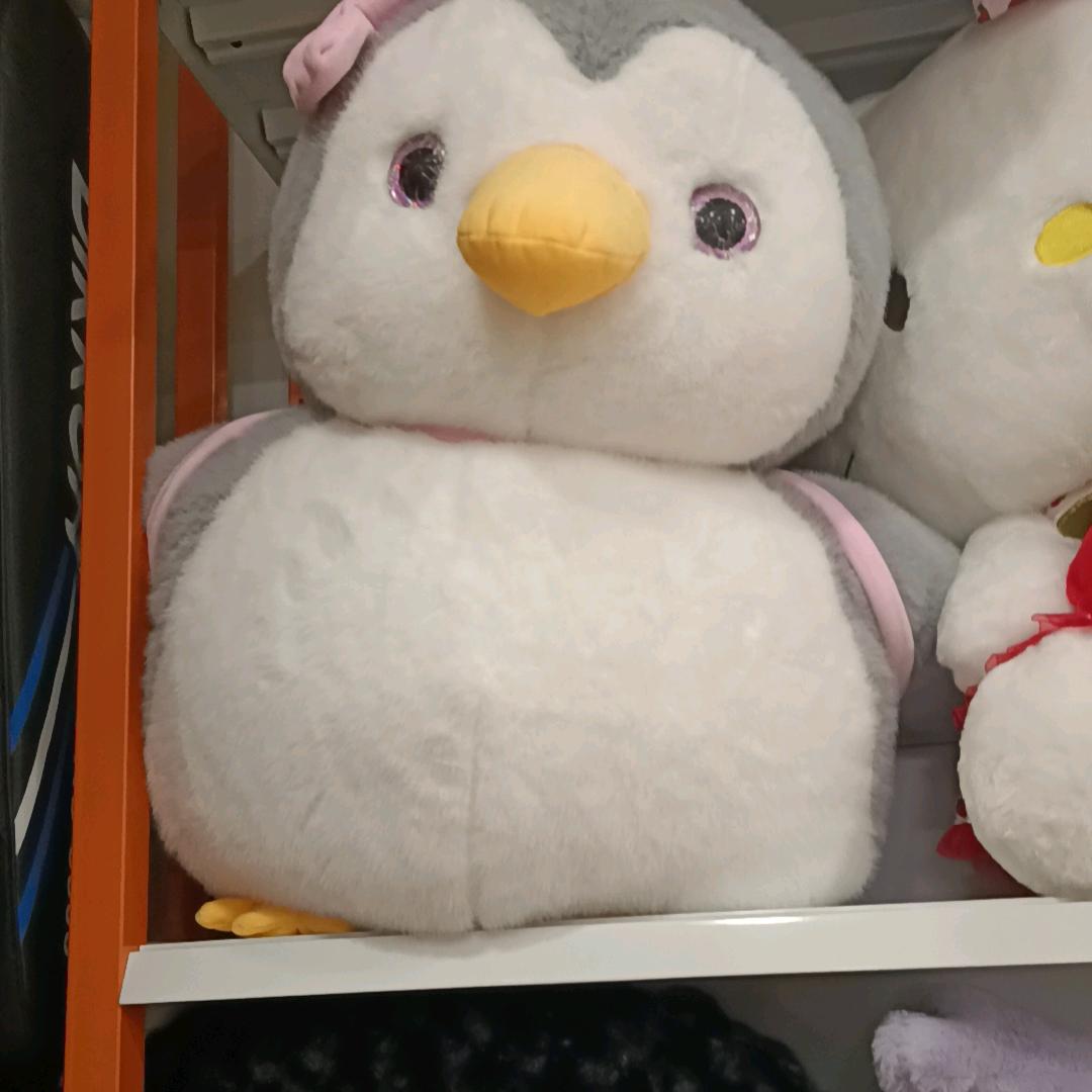 杨