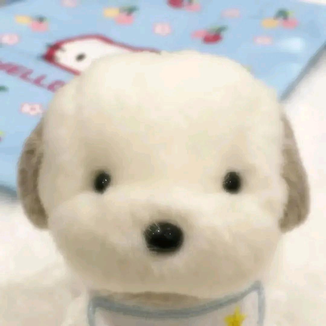 鱼忧＾