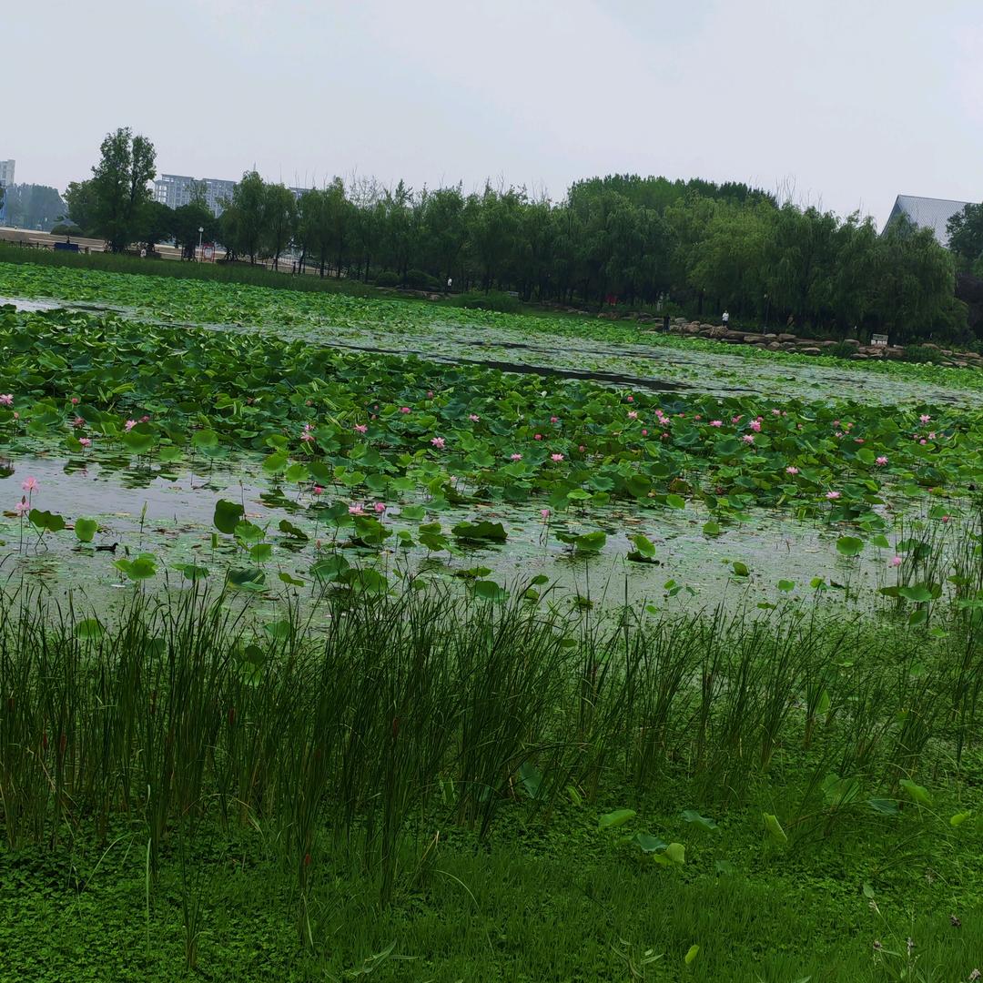 雨过天晴