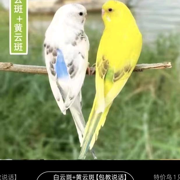 夏天的快乐