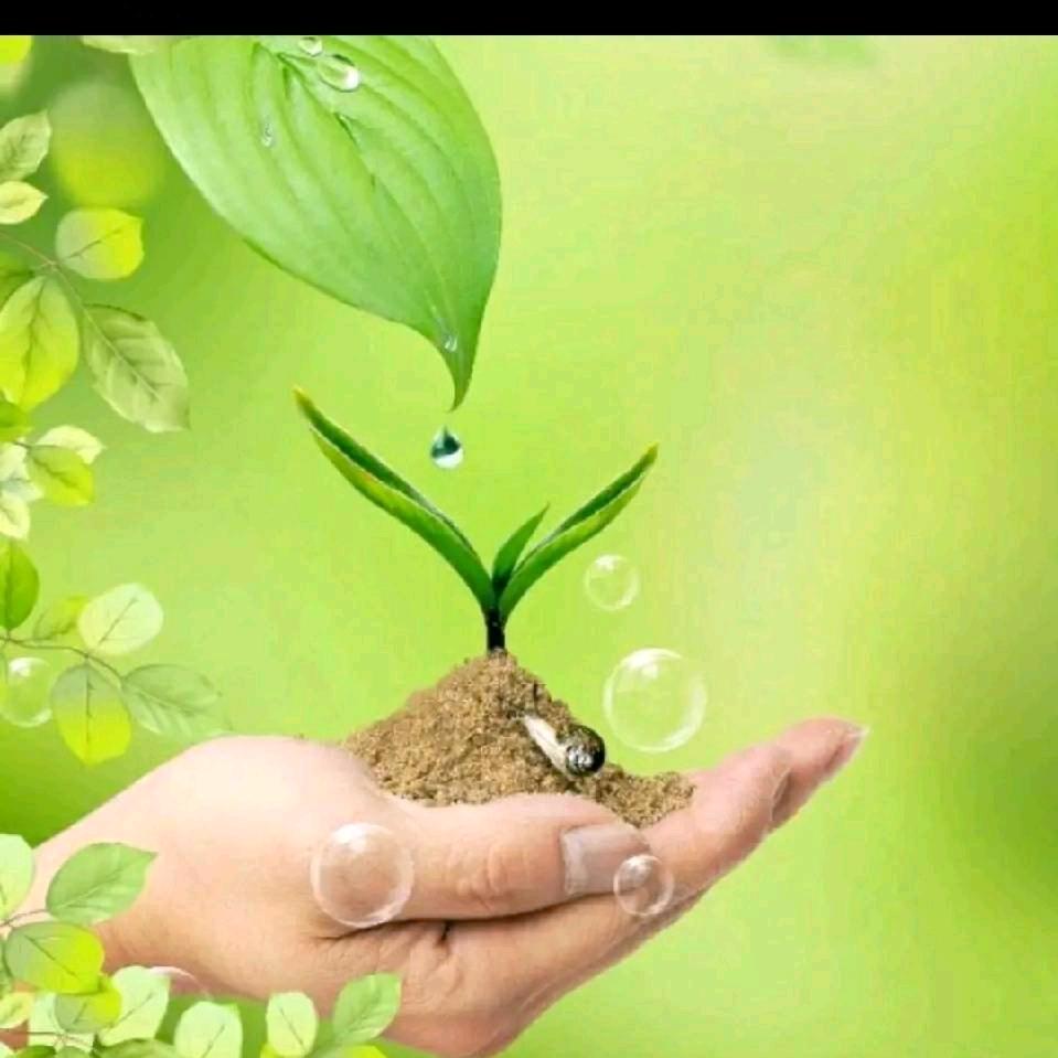 阳光总在风雨后🌿🌿🌿🌿🌿🌿