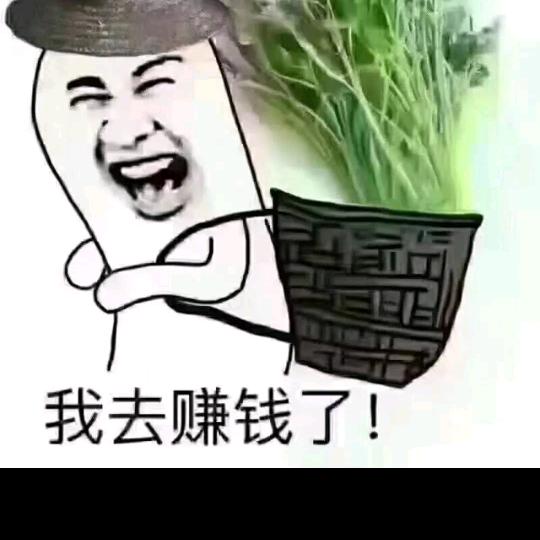周游天下