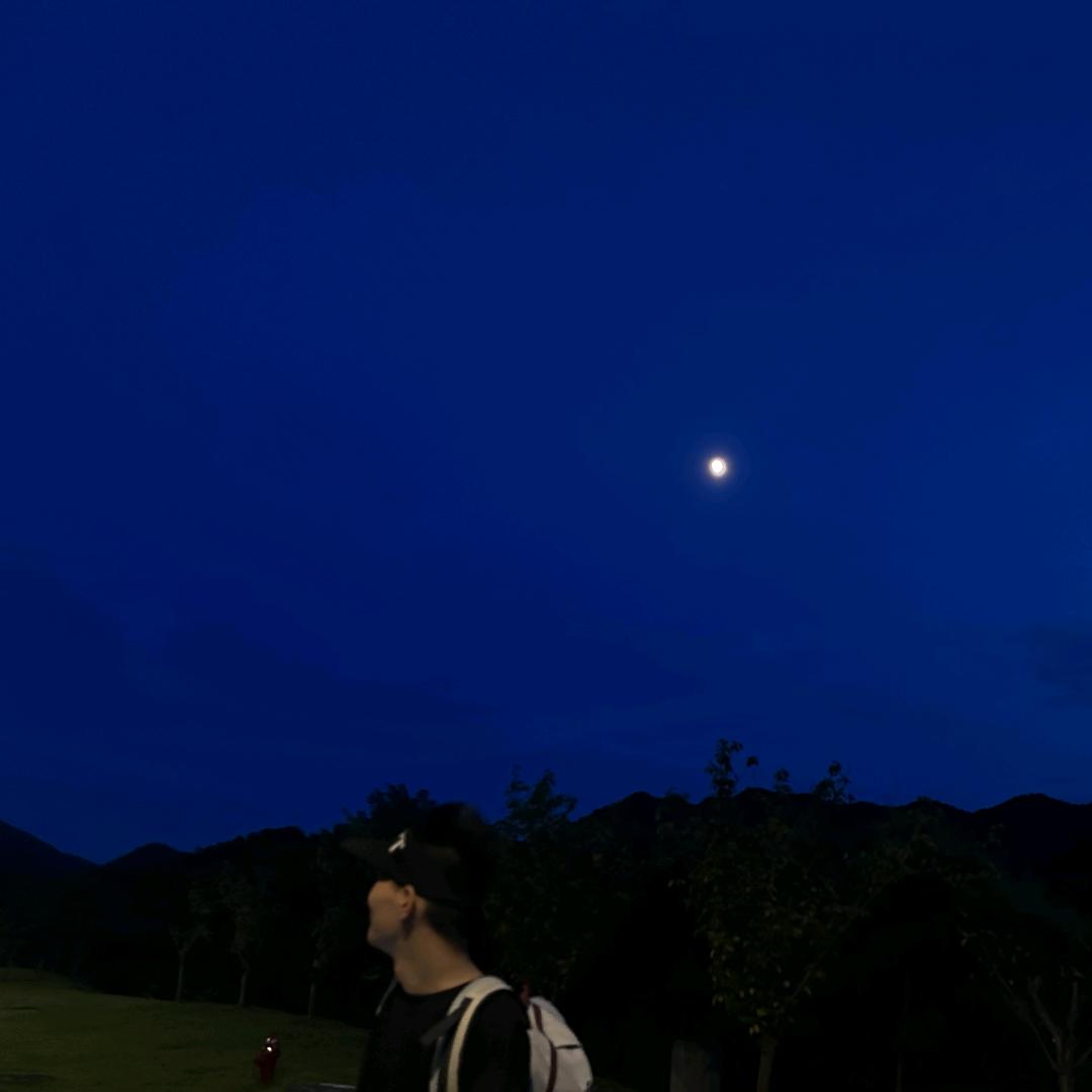 爱吃鱼的佳