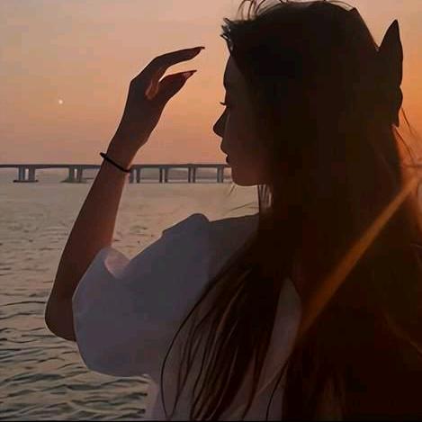 じ带刺的玫瑰＆