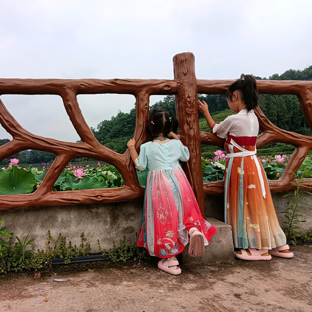 小灰不灰