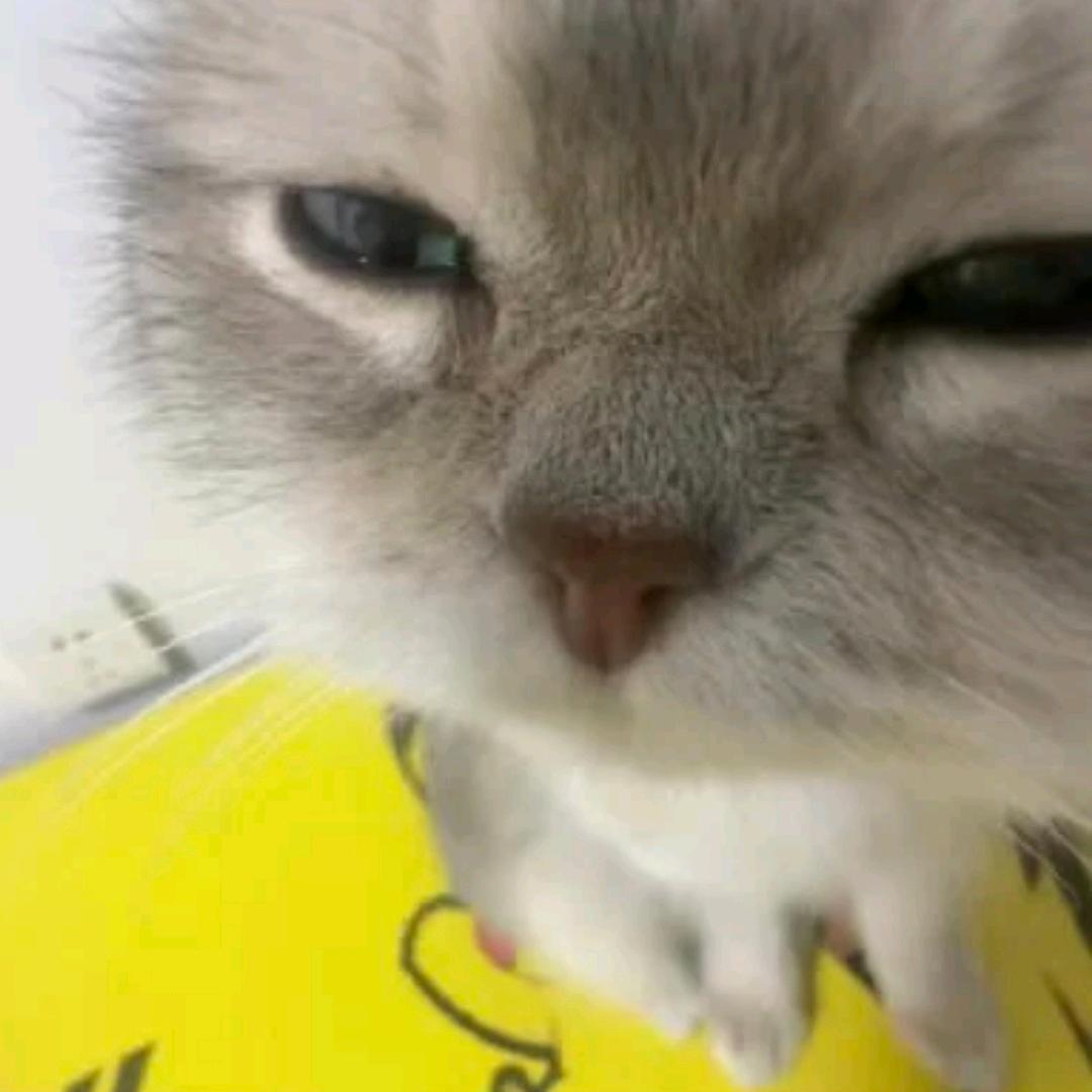 呀呀呀！