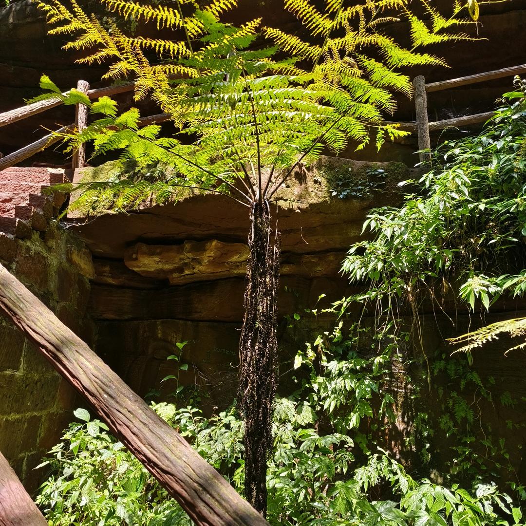 我命由我不由天