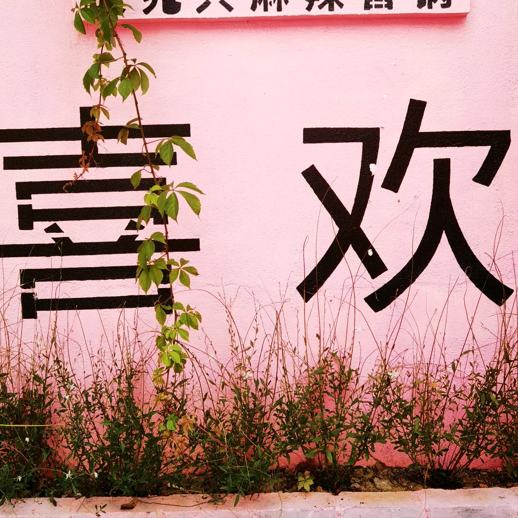 知行合一。