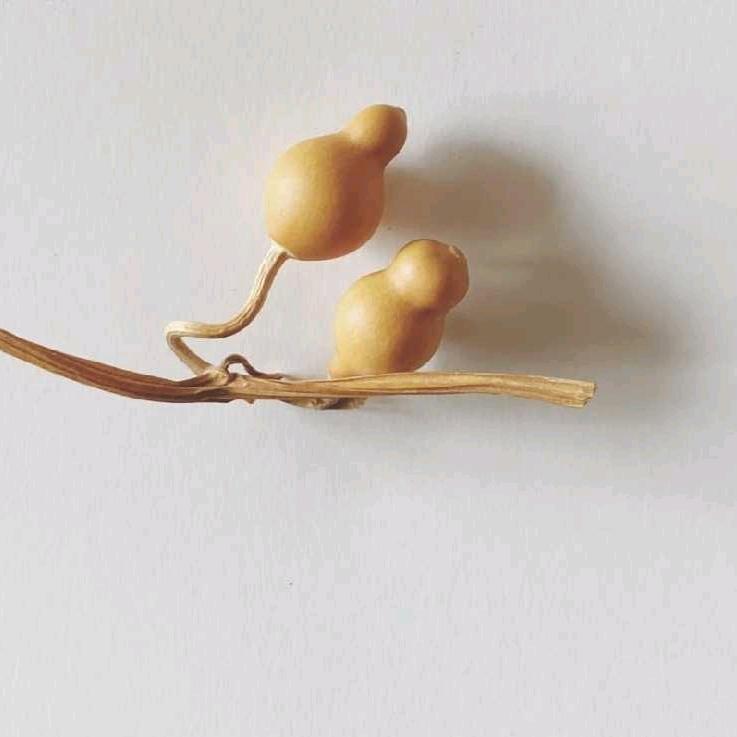 过往后的余生