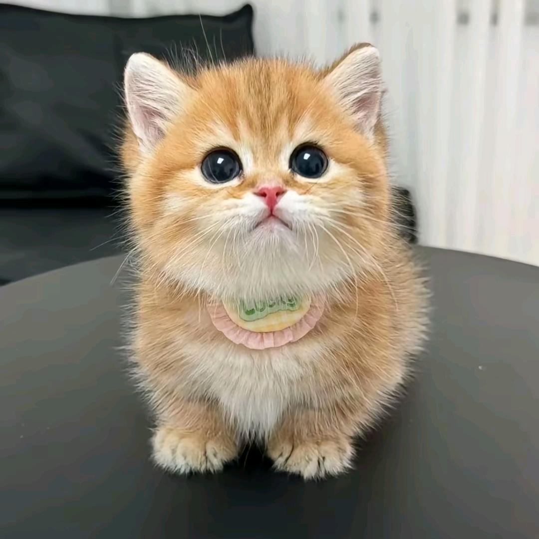 🌈🌈喜上加囍🎀