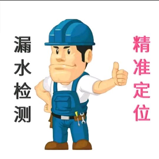 陆师傅漏水检测