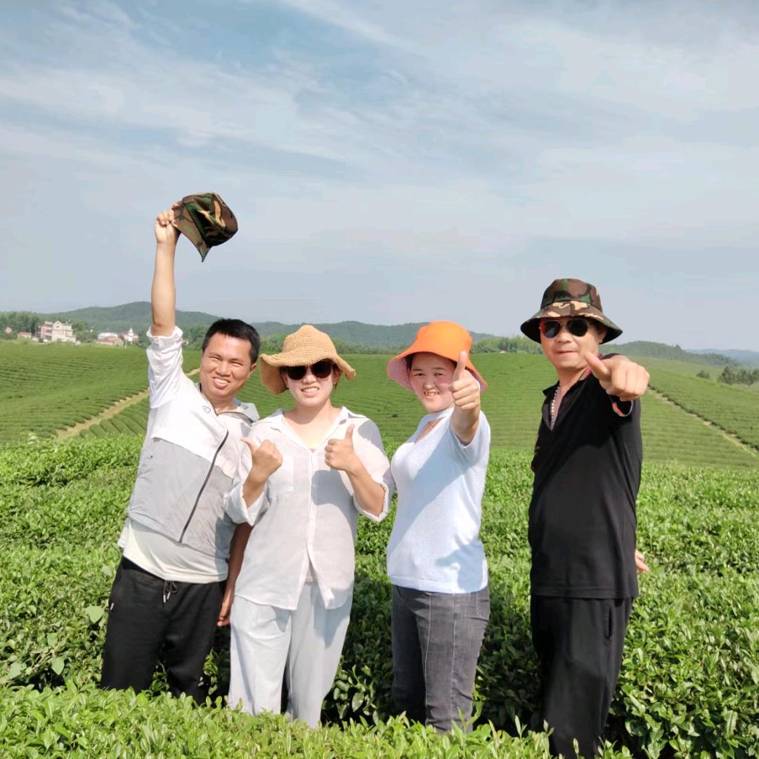 东至茶叶哥（茶叶私信）