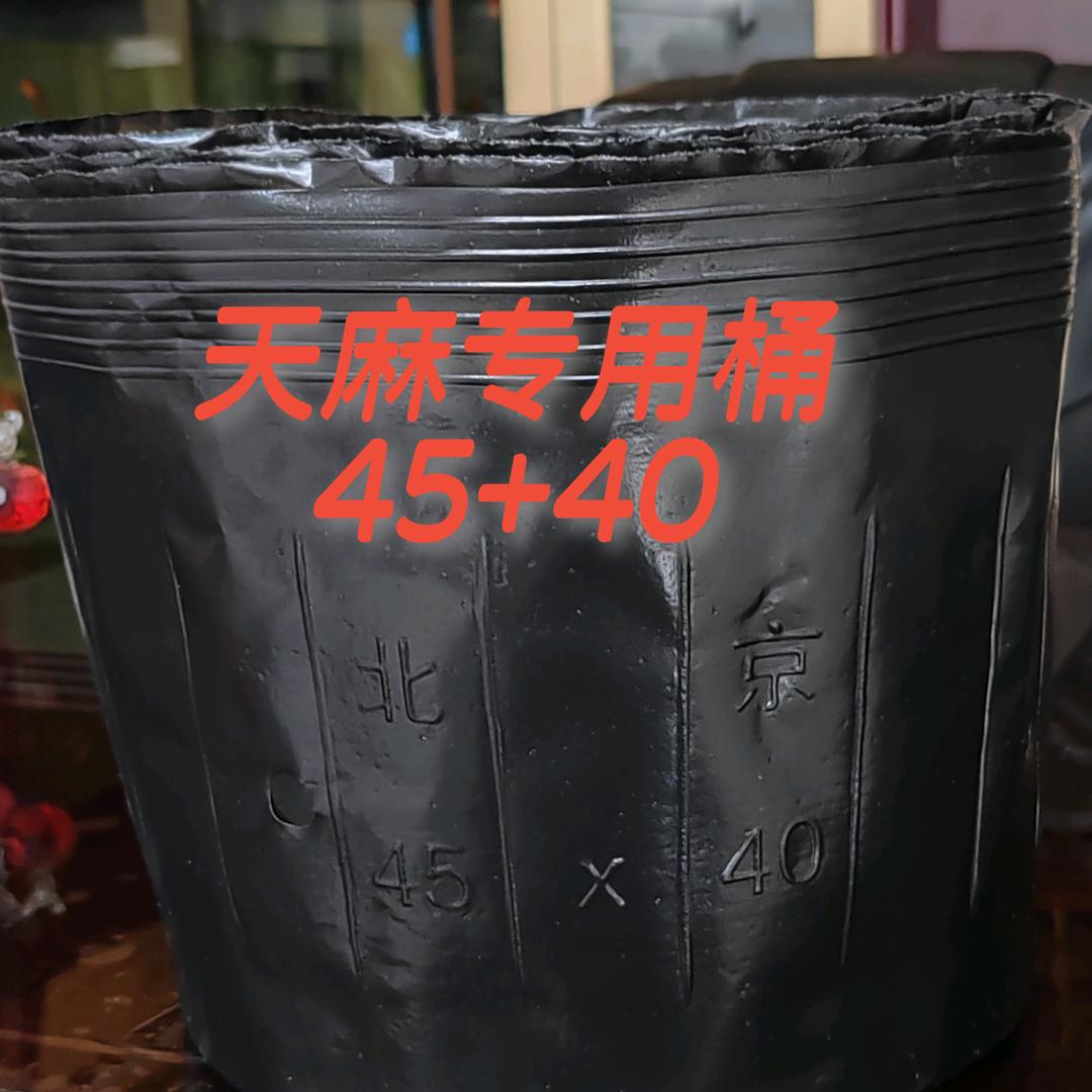 宁硕臻选店