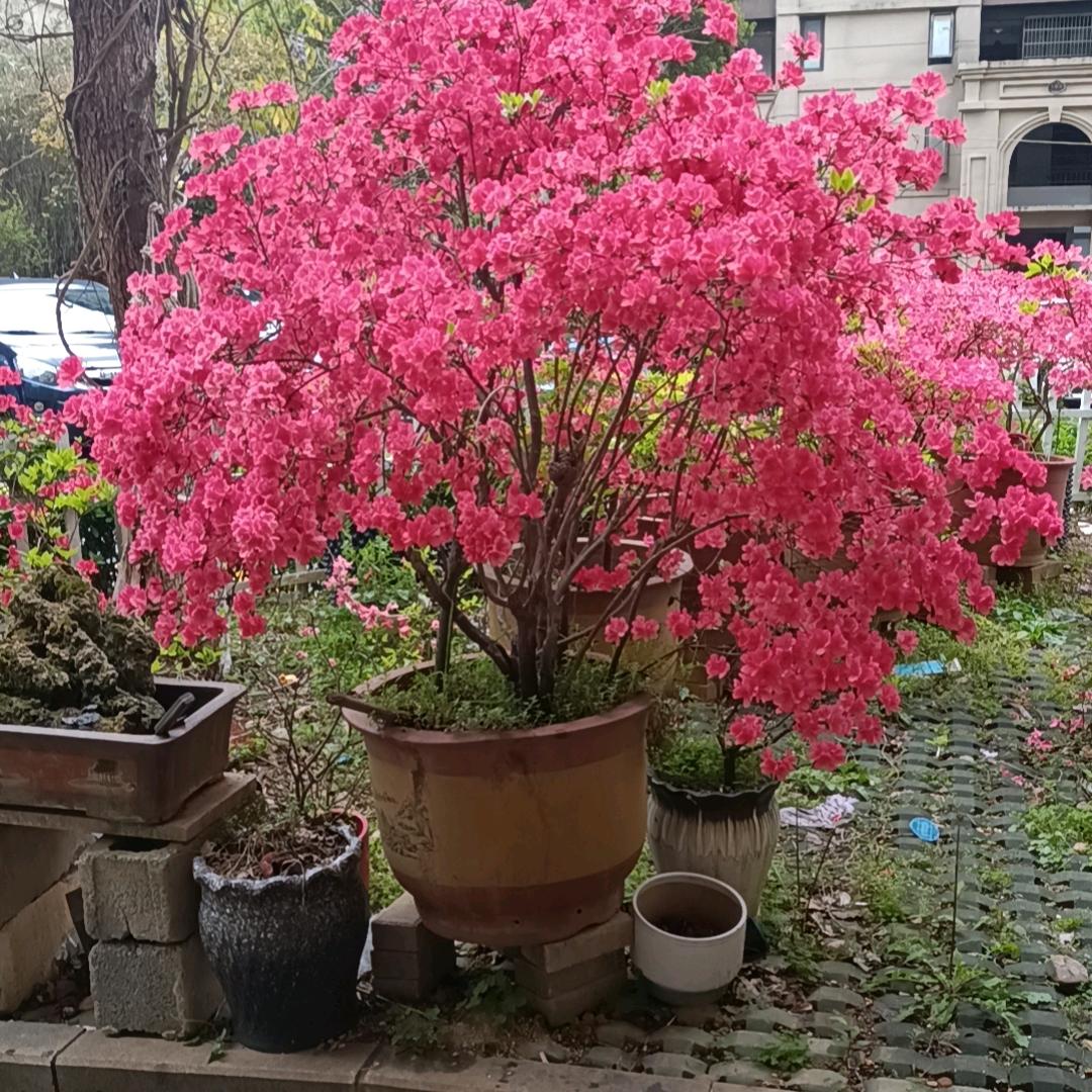 从头开始，过好每一天