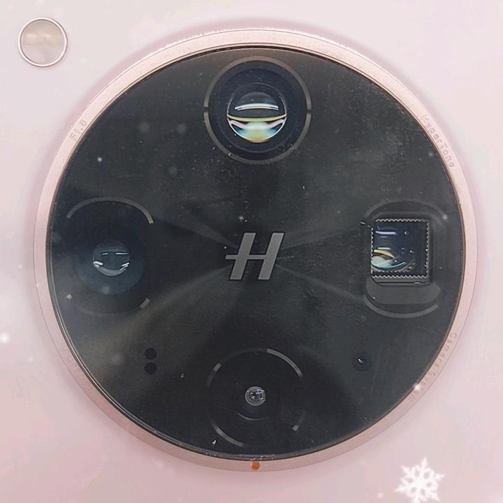 白雪白