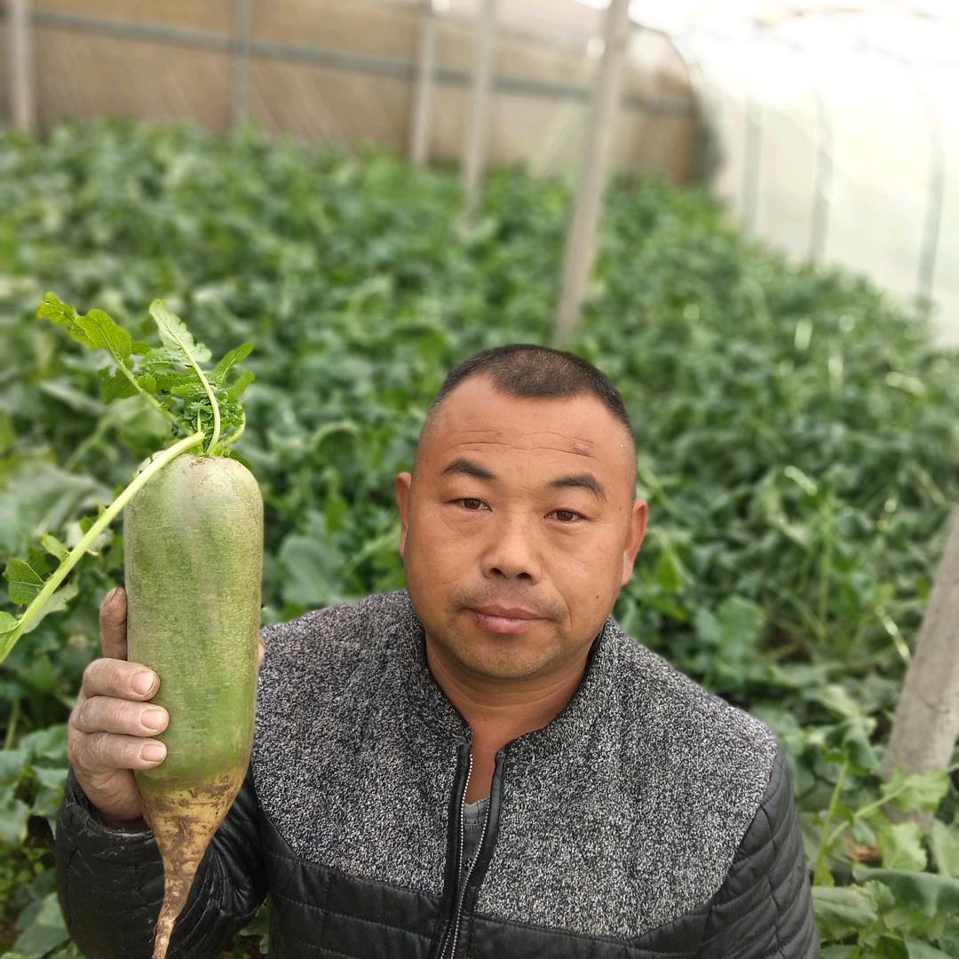 福祥蔬菜种植园