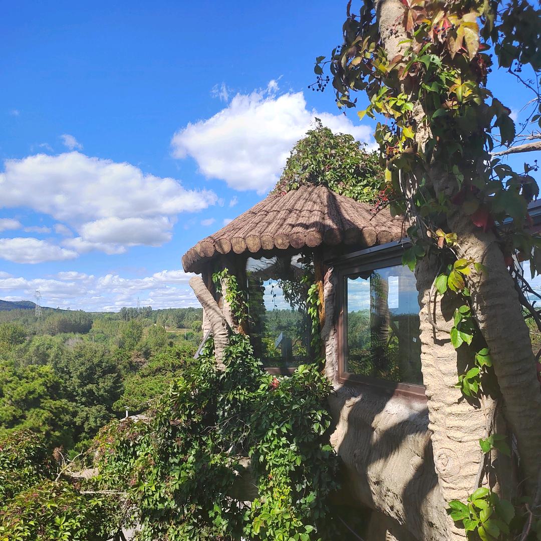 只想微笑每一天瑶