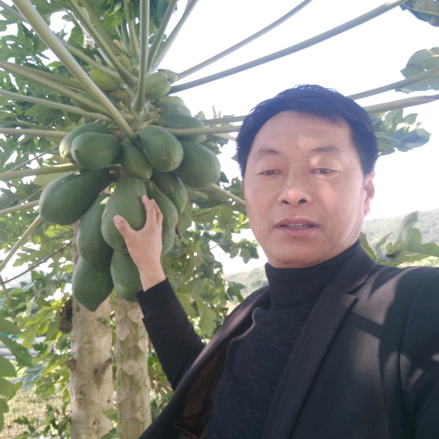万荣县万运果业专业合作社