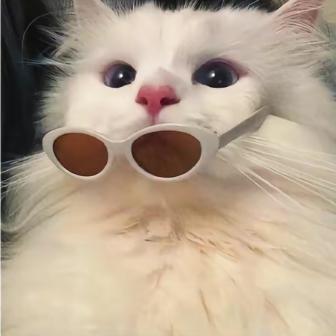 发呆的小绵羊❛˓◞˂̵✧