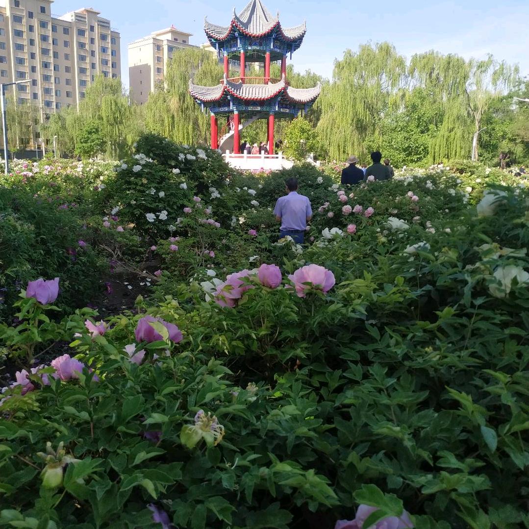 天地合
