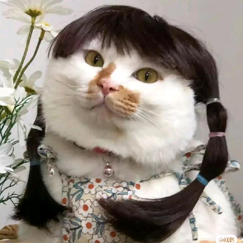 激情大母钉子（王者荣耀害人精）