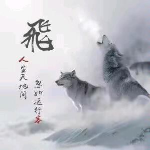 孤狼