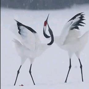 万象