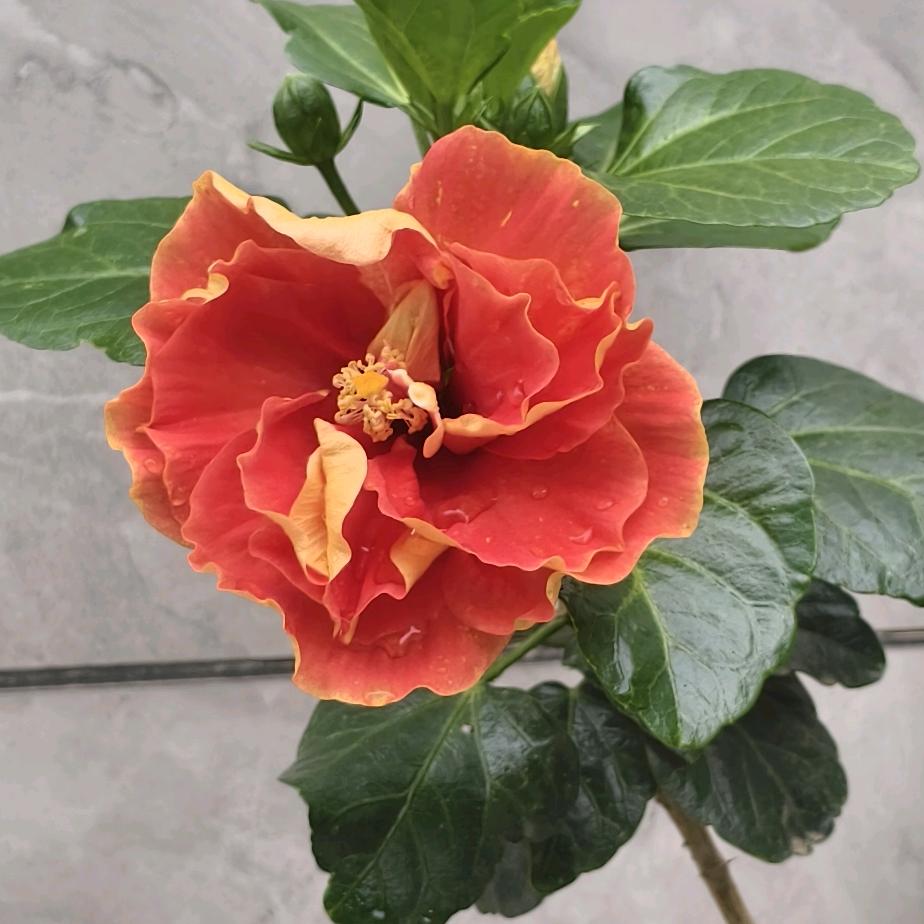 芮城四季沐歌空气能