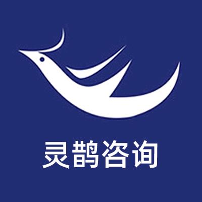 灵鹊咨询